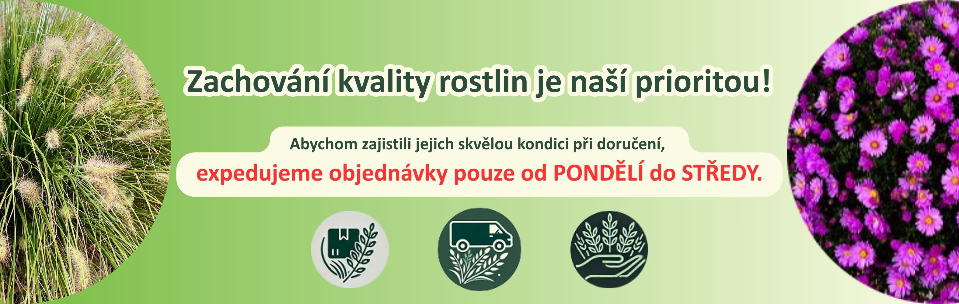 KVALITA EXPEDICE IKONY
